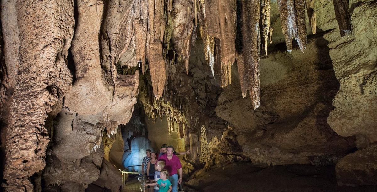 Cutta Cutta Caves Nature Park