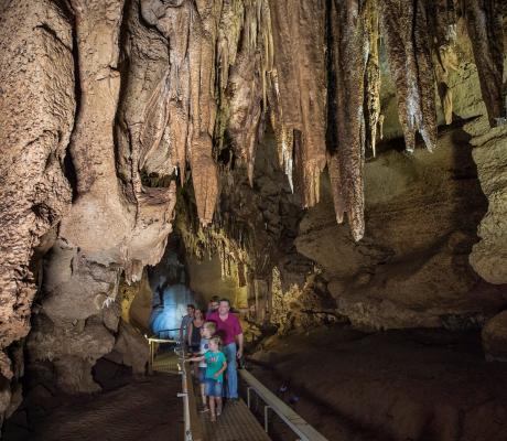 Cutta Cutta Caves Nature Park